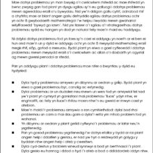 9781783172863-Datrys-Problemau-Mathemateg-Blwyddyn-3-intro1