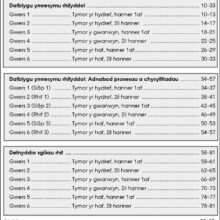 9781783172870-Datrys-Problemau-Mathemateg-Blwyddyn-4-contents