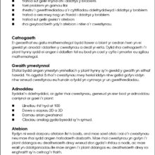 9781783172870-Datrys-Problemau-Mathemateg-Blwyddyn-4-intro5