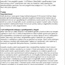 9781783172894-Datrys-Problemau-Mathemateg-Blwyddyn-6-intro4