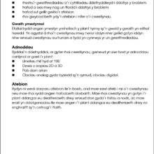 9781783172894-Datrys-Problemau-Mathemateg-Blwyddyn-6-intro5